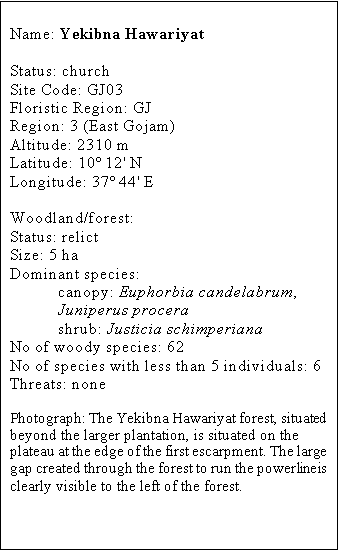 Text Box: Name: Yekibna Hawariyat

Status: church
Site Code: GJ03
Floristic Region: GJ
Region: 3 (East Gojam)
Altitude: 2310 m
Latitude: 10o 12' N
Longitude: 37o 44' E

Woodland/forest: 
Status: relict
Size: 5 ha
Dominant species:
canopy: Euphorbia candelabrum, Juniperus procera
shrub: Justicia schimperiana
No of woody species: 62
No of species with less than 5 individuals: 6
Threats: none

Photograph: The Yekibna Hawariyat forest, situated beyond the larger plantation, is situated on the plateau at the edge of the first escarpment. The large gap created through the forest to run the power line is clearly visible to the left of the forest.
