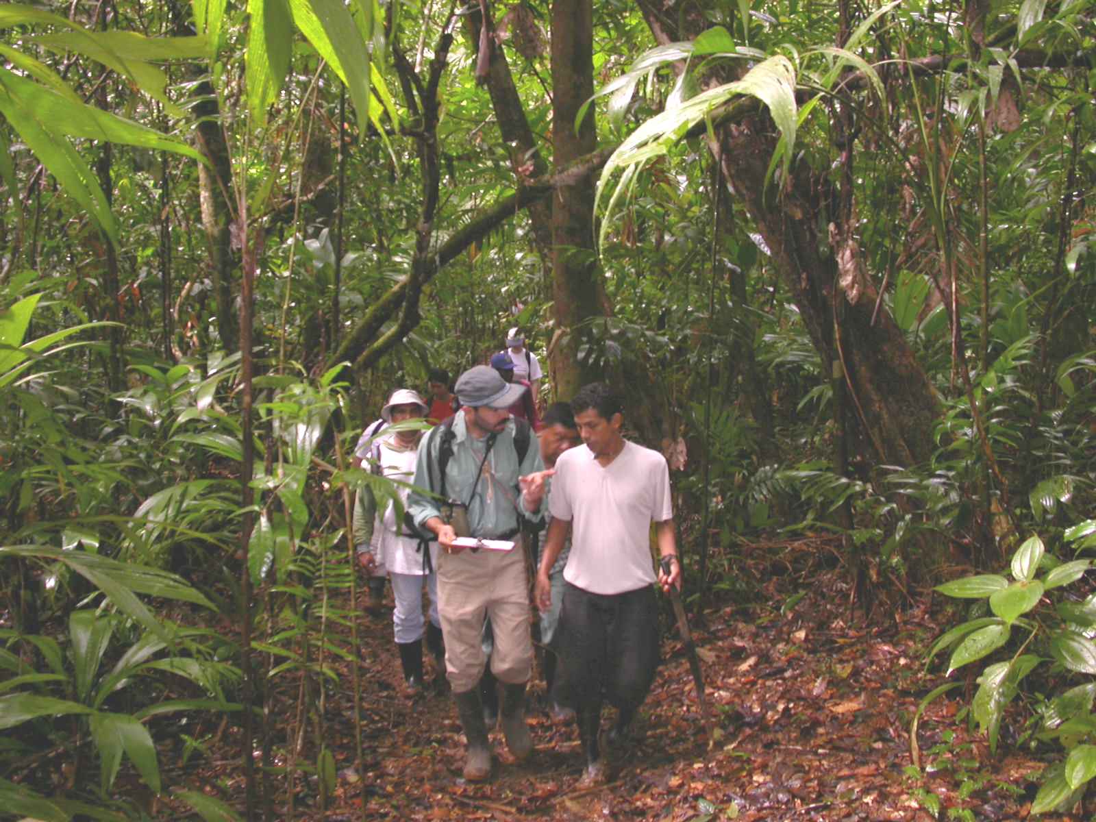 Field work in the Refugio Bartola, Rio San Juan, Nicaragua, 2005
